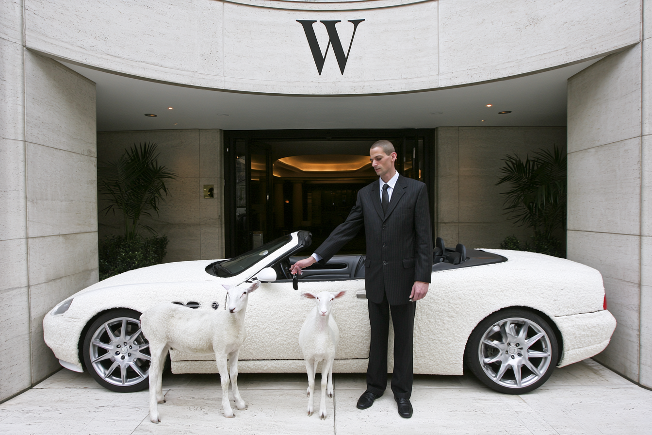 Sheep and valet beside a wool-covered supercar